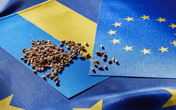 Україна переглядає стратегію аграрного експорту після завершення преференцій з ЄС