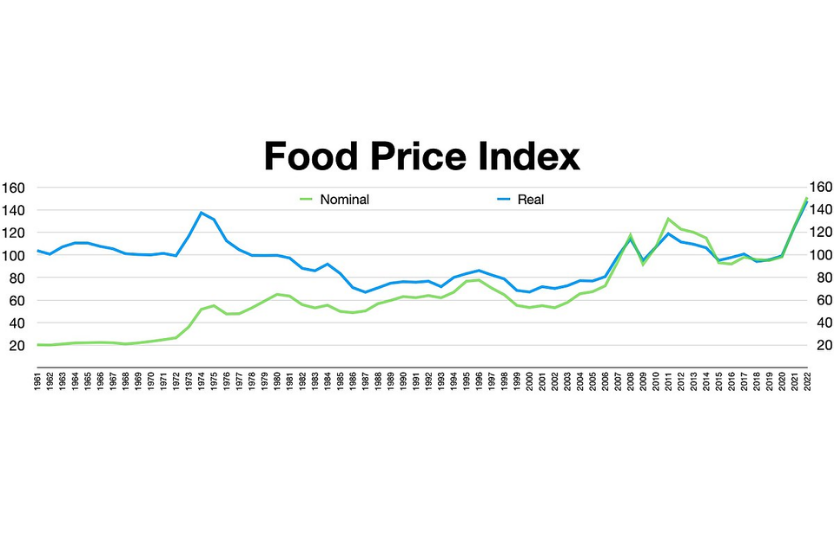 FAO Food Price Index за серпень: що відбувається з цінами на олії, зерно та цукор