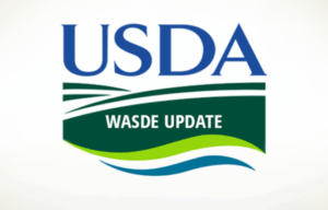WASDE-вересень 2025: основні зміни у світових балансах