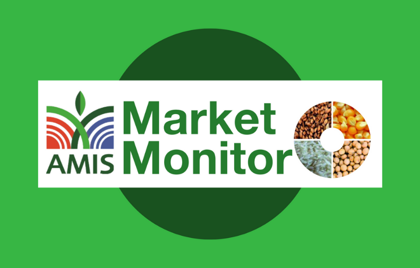 AMIS Market Monitor (вересень): глобальні ризики врожаїв