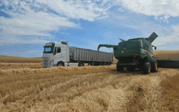 JRC MARS (вересень): оцінка врожаїв ЄС і ціни