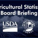 USDA Grain Stocks & Small Grains Summary: чому це важливо для світових котирувань у жовтні