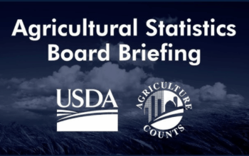 USDA Grain Stocks & Small Grains Summary: чому це важливо для світових котирувань у жовтні