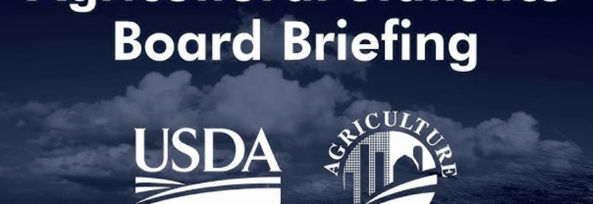 USDA Grain Stocks & Small Grains Summary: чому це важливо для світових котирувань у жовтні