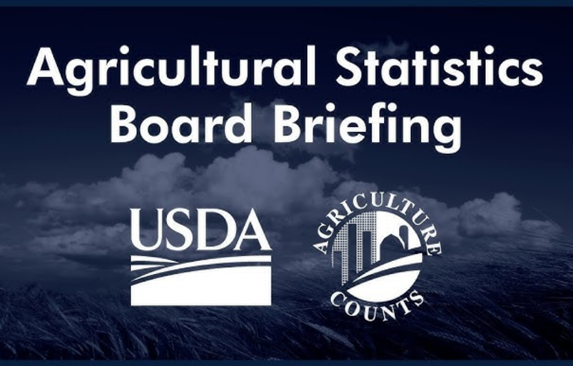 USDA Grain Stocks & Small Grains Summary: чому це важливо для світових котирувань у жовтні
