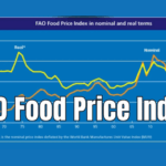 FAO Food Price Index: що з зерном та оліями у жовтні