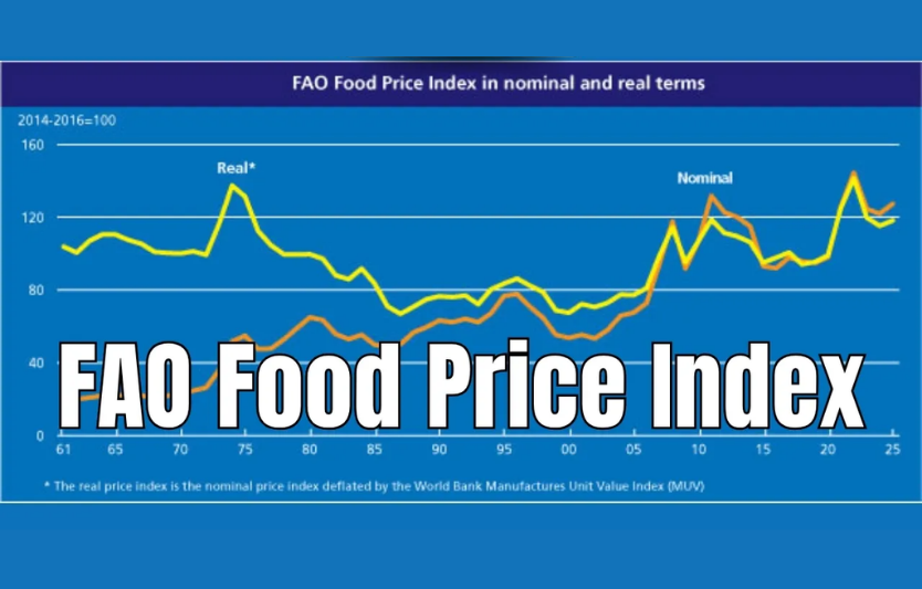 FAO Food Price Index: що з зерном та оліями у жовтні