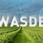 WASDE (USDA): як змінилися глобальні баланси і ціни