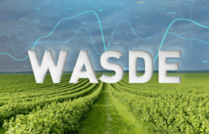 WASDE (USDA): як змінилися глобальні баланси і ціни