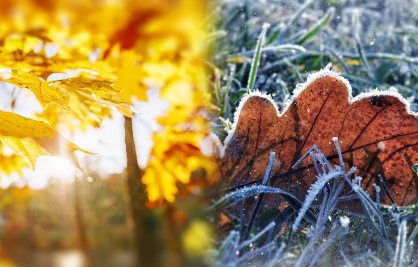 Кінець жовтня: заморозки і дощі — як убезпечити пізні культури