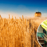 Жовтень для АПК України: 10 ключових фактів