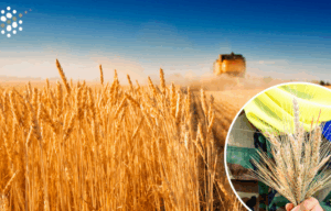 Жовтень для АПК України: 10 ключових фактів