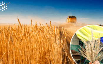 Жовтень для АПК України: 10 ключових фактів