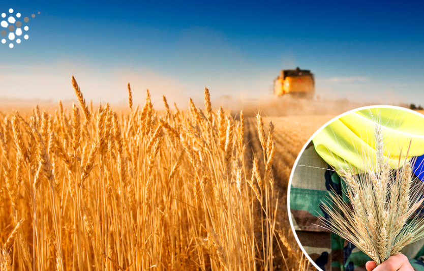 Жовтень для АПК України: 10 ключових фактів