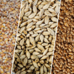 Ціни на зернові в Україні тенденції листопада 2025