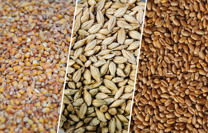 Ціни на зернові в Україні: тенденції листопада 2025