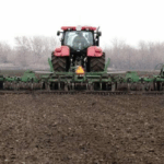 Україна засіяла ~90% площ озимих: що далі у листопаді