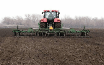 Україна засіяла ~90% площ озимих: що далі у листопаді