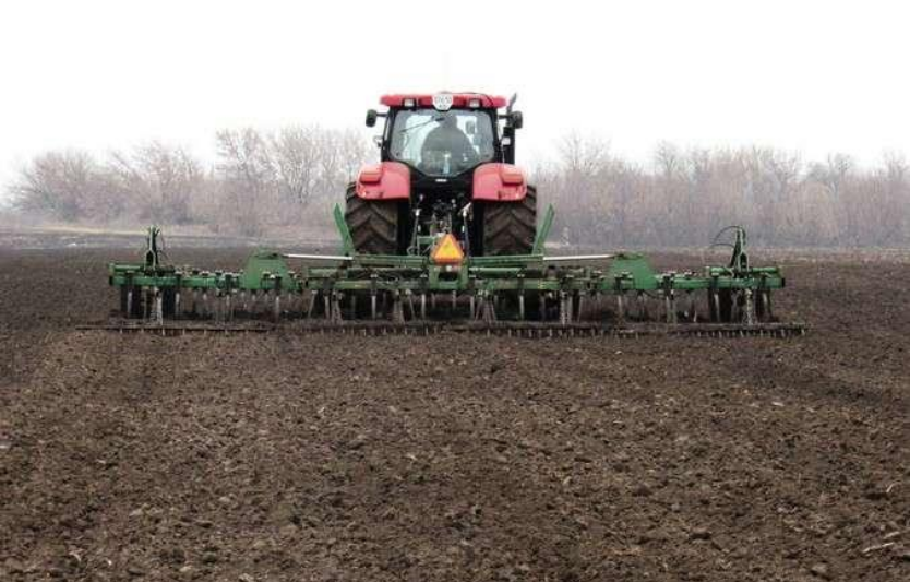 Україна засіяла ~90% площ озимих: що далі у листопаді