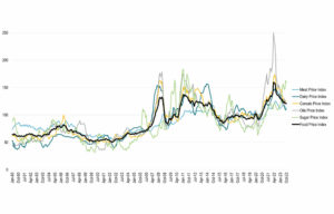 FAO Food Price Index (жовтень): що означає реліз 7 листопада для зернових й олійних