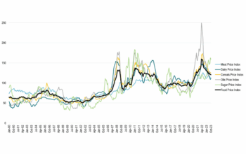FAO Food Price Index (жовтень): що означає реліз 7 листопада для зернових й олійних