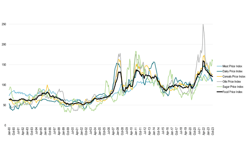 FAO Food Price Index (жовтень): що означає реліз 7 листопада для зернових й олійних