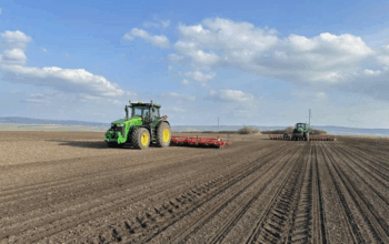 Листопад–січень: сезонний прогноз для агросектору України