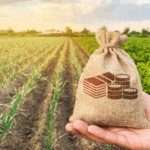 Нові державні програми підтримки фермерів у 2025