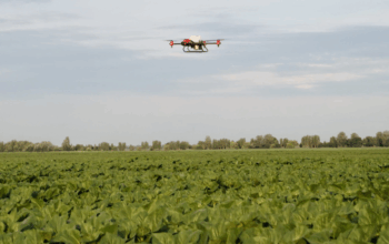 Стартапи в агро як українці впроваджують дрони та IoT