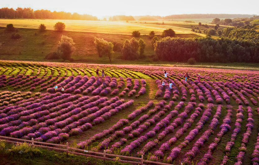 Як змінився агросектор у Західній Україні
