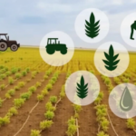 Нові аграрні програми 2025 року підтримка фермерів і компенсації