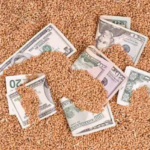 Тренди агроринку як змінилися ціни на зерно та технічні культури у грудні