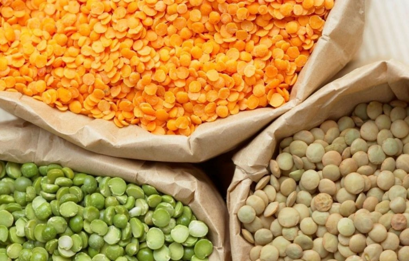 Площі під сочевицею зростають: наукове пояснення переваг культури