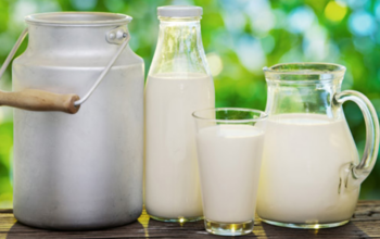 Виробництво молока в Україні цього року скоротиться до 6–8 млн т