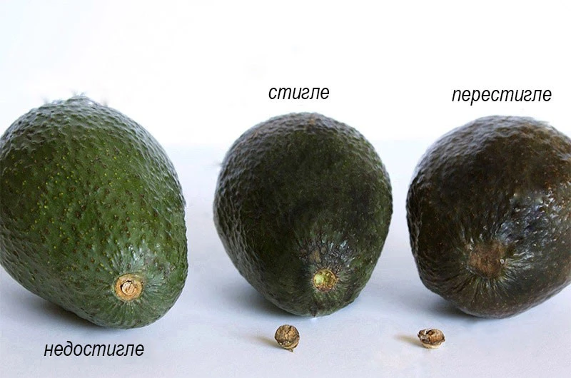 Авакадо як обрати?