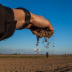 Ціни на землю можуть зрости у 2026 році