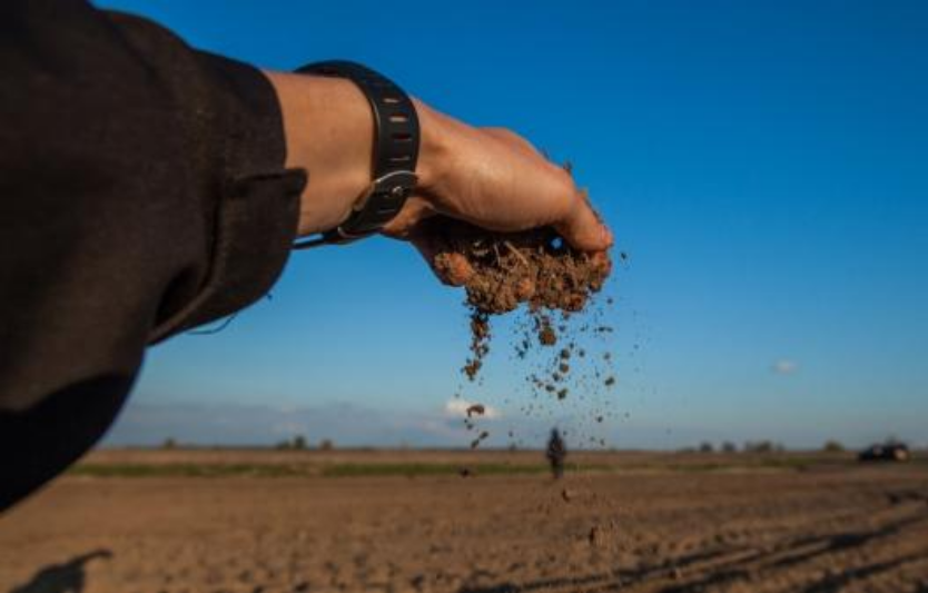 Ціни на землю можуть зрости у 2026 році