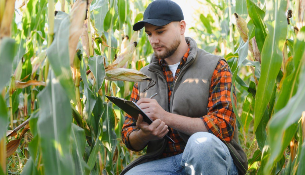 Сезонне планування в агробізнесі