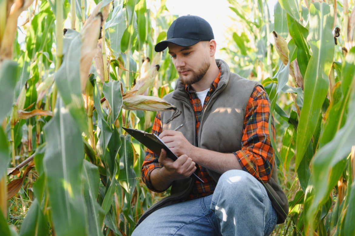 Сезонне планування в агробізнесі