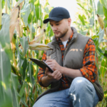 Сезонне планування в агробізнесі