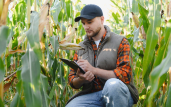 Сезонне планування в агробізнесі