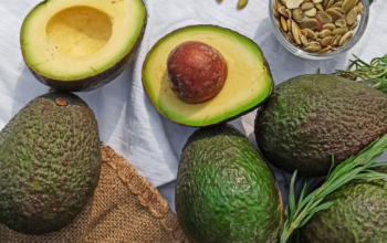 Види авокадо