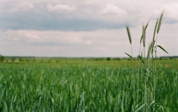 Взяти в оренду землю