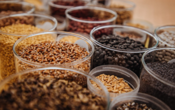 Яке насіння краще купувати 2026 року