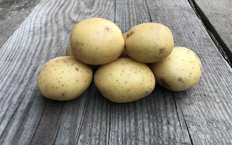 Лідери за врожайністю