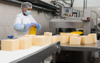 «Молочний альянс» не планує підвищувати ціну сирів