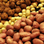 Найкращі сорти картоплі