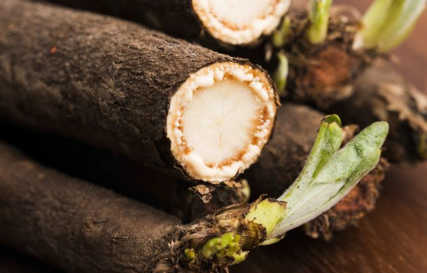 Скорцонера