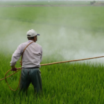 Топ 10 кращих гербіцидів опис, застосування, дія