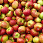 Україна отримала негативне сальдо торгівлі яблуками